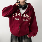 Shine Tantan Embroidered Hooded Zip-Up