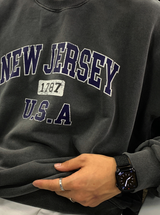 Taper New Jersey Heavy Pigment Overfit Sweatshirt