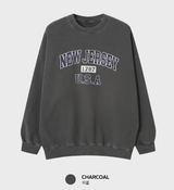 Taper New Jersey Heavy Pigment Overfit Sweatshirt