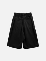 Delta Stripe Bermuda Slacks 2C