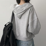 Nova Lettering Hoodie Zip-up (4 colors)
