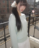 Pruel Basic V-Neck Knit