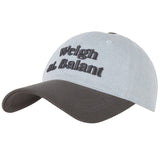 Denim Embroidery Ball Cap - Grey