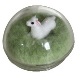 baby goat tok
