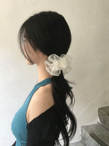 グラッシュ シュシュ