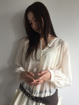 Pane see-through blouse (2color)