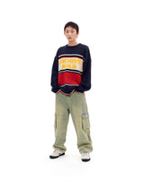 AB STRIPE PANEL KNIT (NAVY)