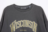No.0340 Wisconsin pigment MTM (3color)