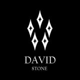 DAVID STONE D106 dark black (vibram edition) (6657259208822)