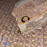 CLASSIC HUGGIE HOOPS (GOLD)