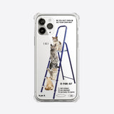 ブルーラダーキャットクラブ / blue Ladder Cat Club