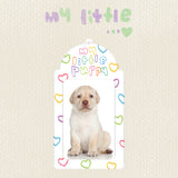 マイリトルパピーフォトカードホルダー / my little PUPPY photocard holder