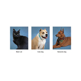 アニマルフォトステッカー / Animal photo sticker