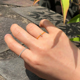 フィッシュリング1 / FISH RING 1 (6color)