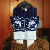 Dolphin nordic knit gloves (6622469128310)