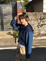 アーロデニニムジップアップ