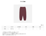 ASCLO ウォーム ピグメント トレーニング セットアップ (4color)