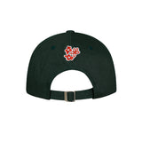 ポップロゴグラフィックキャップ / POP LOGO GRAPHIC BALLCAP - GREEN