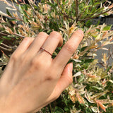 フィッシュリング2 / FISH RING 2 (6color)