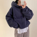 [Bellide made/fleece-lined wool] Berrygood fleece-lined wool embroidery hoodie