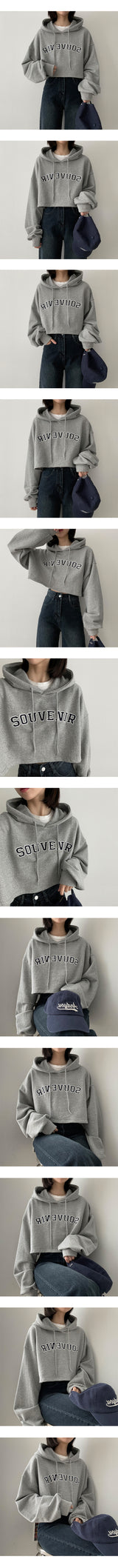 ニアエンブロイダリークロップフード / Near embroidery crop hood