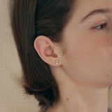 Snow Earring