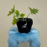 フラフィーポット / FLUFFY POT (L / BLACK)