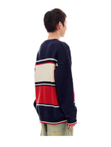 AB STRIPE PANEL KNIT (NAVY)