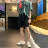 ピグメントミシガンアイスショートスリーブT / LMN Pigment Michigan Ice Short Sleeve Tee (5 colors)