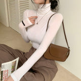 [Bellied made/Covering the back of the hand] Label point see-through polarity