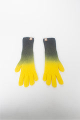 gradation gloves (7 color)