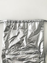 Future silver backpack