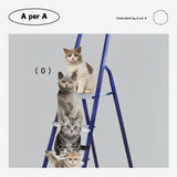 ブルーラダーキャットクラブ / blue Ladder Cat Club