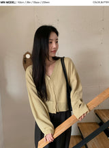 BC Simple V-neck Knit Cardigan (10color)