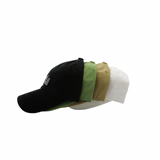 ASCLO Daily HEAL Ball Cap (4color)