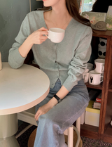 Basic V-neck Knit Cardigan (11color)
