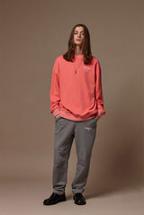 Pigment washed crewneck - Pink (4622121828470)