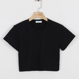 デイリーアルティTシャツ