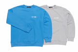 FLYAGD FLASH MTM (2COLOR) (6554758742134)