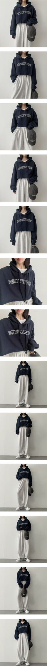 ニアエンブロイダリークロップフード / Near embroidery crop hood