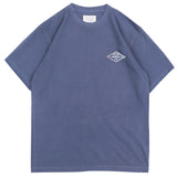 PWM-009 (17S) PIGMENT WASHING THE ROAD (6580831354998)