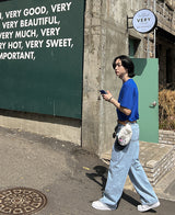 22サマーシルクＴシャツ/22summer silk T-shirt (11 color)