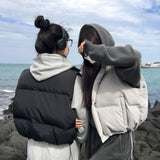 [BELLIDE MADE] Vintage Pigment Crop Hoodie