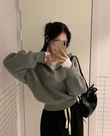 [BELLIDE MADE] ナチュラルフードハーフジップクロップニット