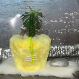 フラフィーポット / FLUFFY POT (M / YELLOW)