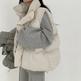 ウェルオン オーバーフィット パテッド ベスト / [44-99 possible] Wellon Overfit Padded Vest