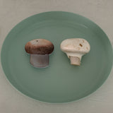 キノコスマホグリップ / Mushroom griptok
