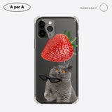 ビッグ ストロベリー グレーキャット / Big strawberry gray cat