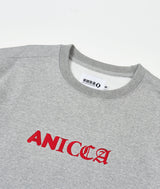 Tri Type ANICCA Sweatshirt - Gray (6582404743286)