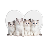 ホワイトラブキャッツアイフォンケース / [set] white love cats case
